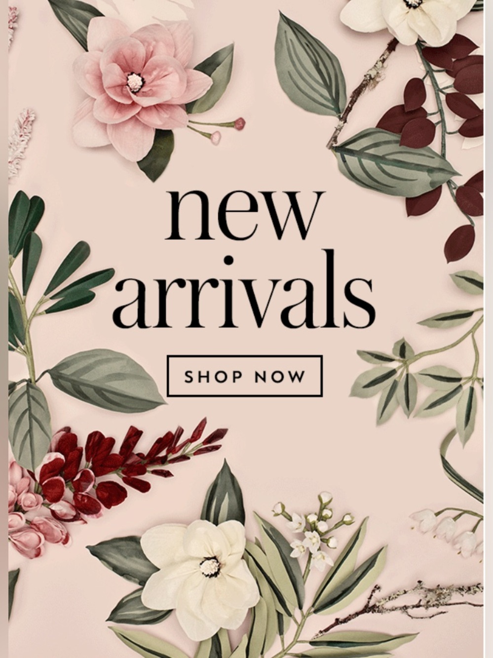 🌸 NEW ARRIVALS: All Departments Just Dropped! 🌸